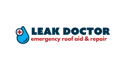 Work image #1 for Leak doctor branding