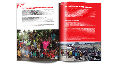 Work image #2 for Tanna Te Puke  Annual Report